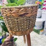 Cage pot latanier moyenne