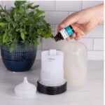 Mainstays/100% Pure essential Oil (6 pcs