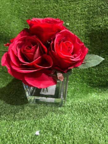 Jolie fleure / Red Rose